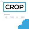 Demo Image